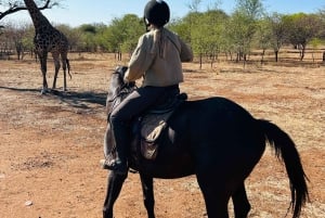 Zimbabwe: 5-dages hestesafari