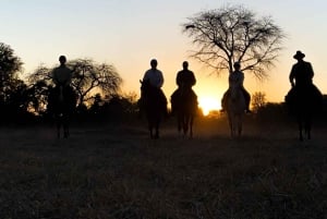 Zimbabwe: 5-dages hestesafari