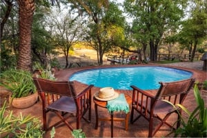 Zimbabwe: 5-dages hestesafari