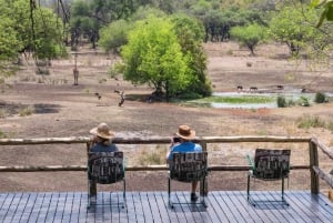 Zimbabwe: 5-dages hestesafari