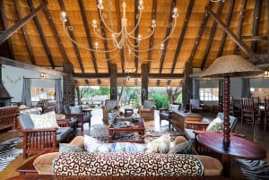 Zimbabwe: 5-dages hestesafari