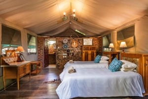 Zimbabwe: 5-dages hestesafari