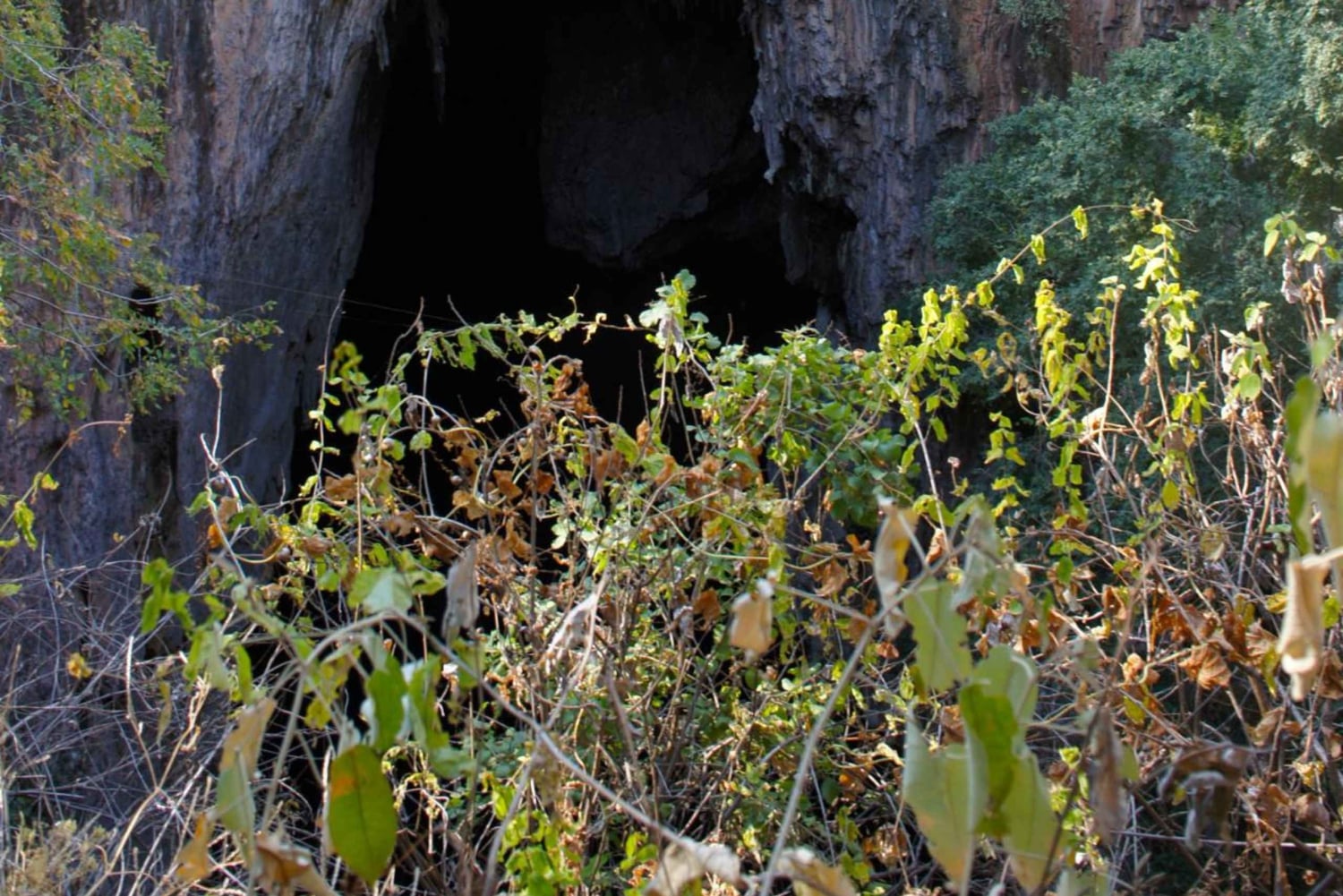 Zimbabwe: Chinhoyi Caves Tour with Lion Viewing and Lunch