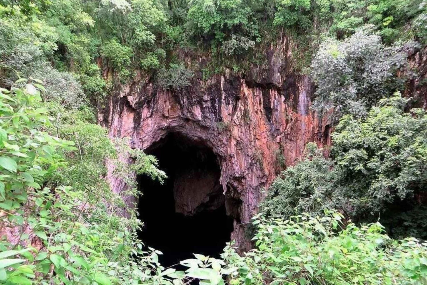 Zimbabwe: Chinhoyi Caves Tour with Lion Viewing and Lunch