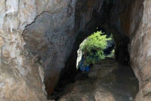 Zimbabwe: Chinhoyi Caves Tour with Lion Viewing and Lunch