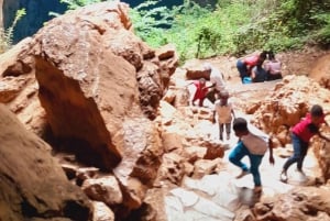 Zimbabwe: Chinhoyi Caves Tour with Lion Viewing and Lunch