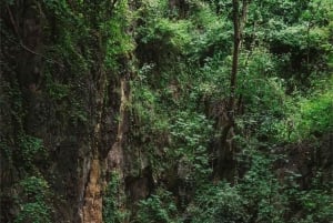 Zimbabwe: Chinhoyi Caves Tour with Lion Viewing and Lunch