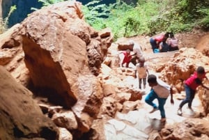 Zimbabwe: Chinhoyi Caves Tour with Lion Viewing and Lunch