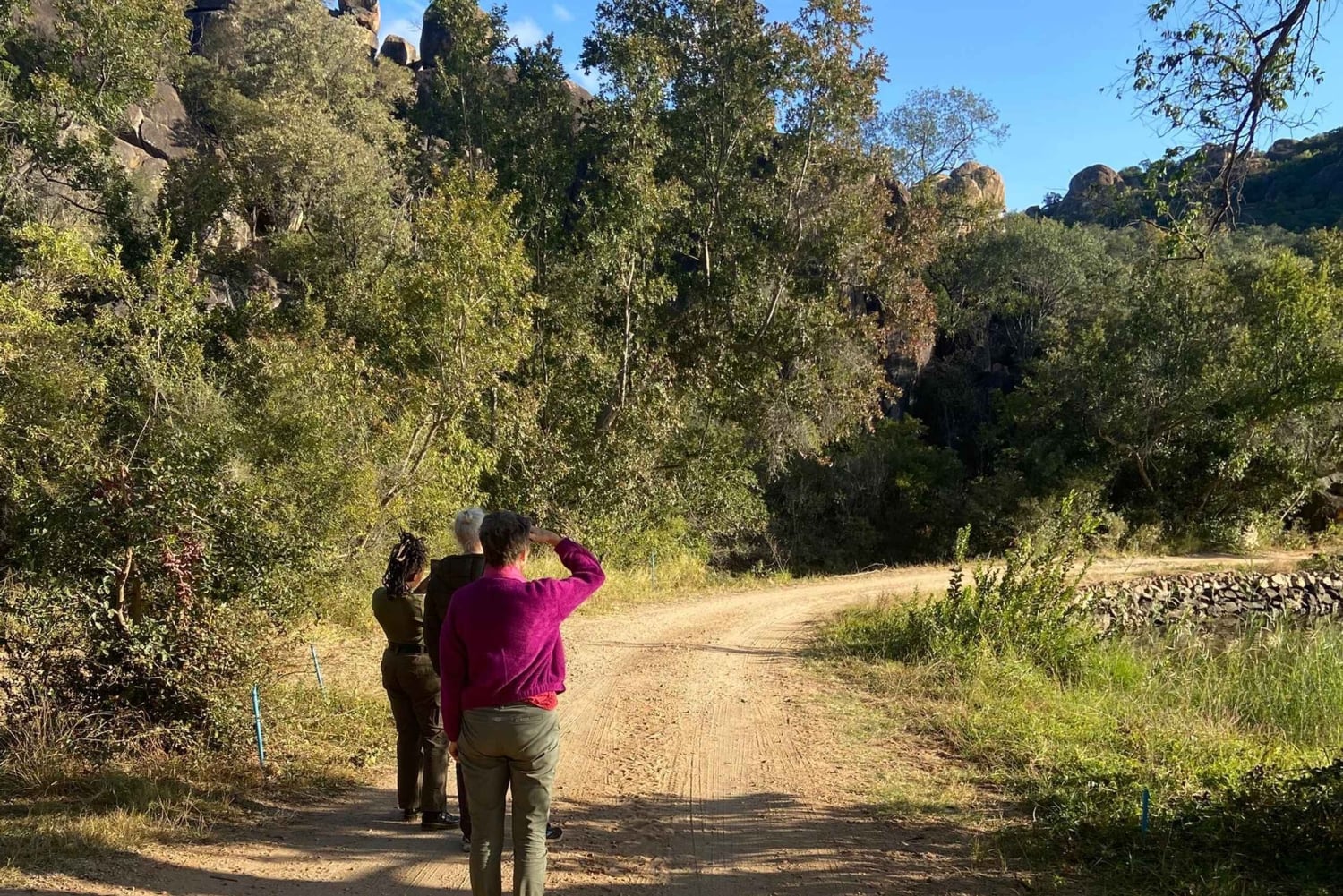 Zimbabwe: Guided Hikes, Safaris, and Wellness Retreats