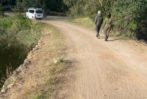 Zimbabwe: Guided Hikes, Safaris, and Wellness Retreats