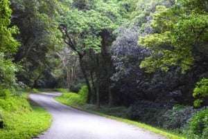 Zimbabwe: Prince of Wales View & Cloudlands Forest Vumba