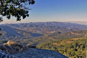 Zimbabwe: Prince of Wales View & Cloudlands Forest Vumba