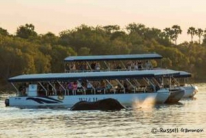 Zimbabwe: Sundowner Cruise (Standard) Zambezi-floden