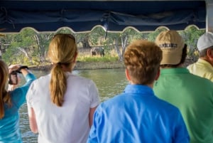 Zimbabwe: Sundowner Cruise (Standard) Zambezi-floden