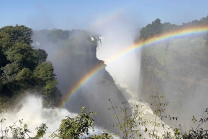 Zimbabwe & Zambia: Guided Tour of the Falls from Both Sides