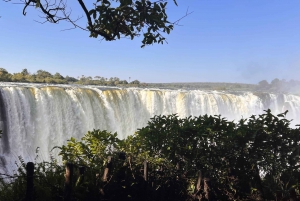 Zimbabwe & Zambia: Guided Tour of the Falls from Both Sides