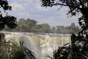Zimbabwe & Zambia: Guided Tour of the Falls from Both Sides