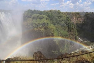 Zimbabwe & Zambia: Guided Tour of the Falls from Both Sides