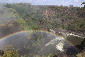 Zimbabwe & Zambia: Guided Tour of the Falls from Both Sides
