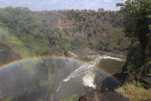 Zimbabwe & Zambia: Guided Tour of the Falls from Both Sides