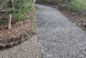 Simbabwe & Sambia: Victoriafälle-Tour mit Guide und Mittagessen