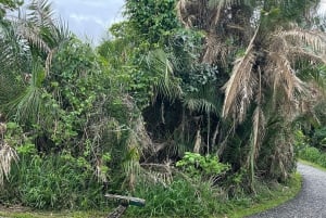 Simbabwe & Sambia: Victoriafälle-Tour mit Guide und Mittagessen
