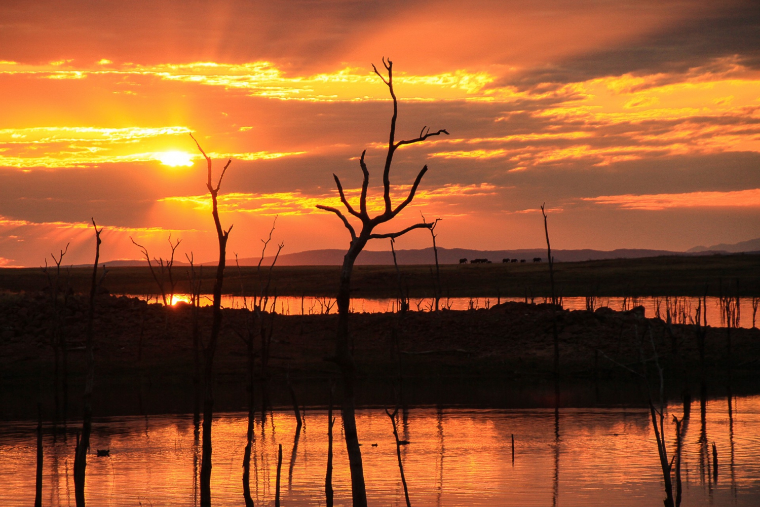 2022 Free Flights Special Hwange Lake Kariba  Mana 