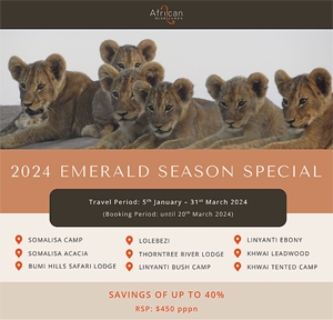 African Bush Camp Honeymoon Special 2023