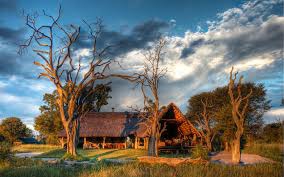 Bomani Tented Lodge 2019 Special