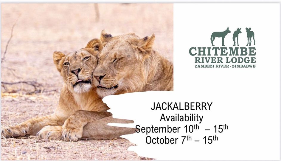 Jackalbery Availability at Chitembe River lodge