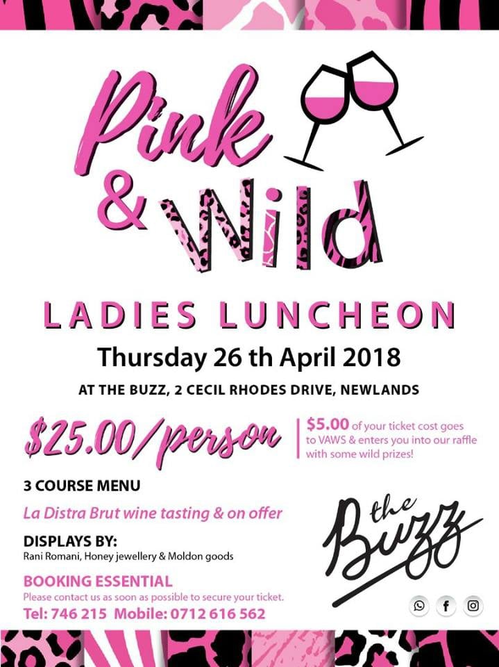 Pink And Wild Ladies Luncheon At The Buzz