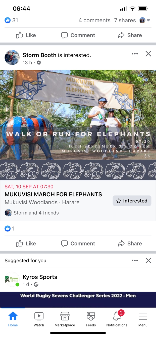 Walk Or Run for Elephants