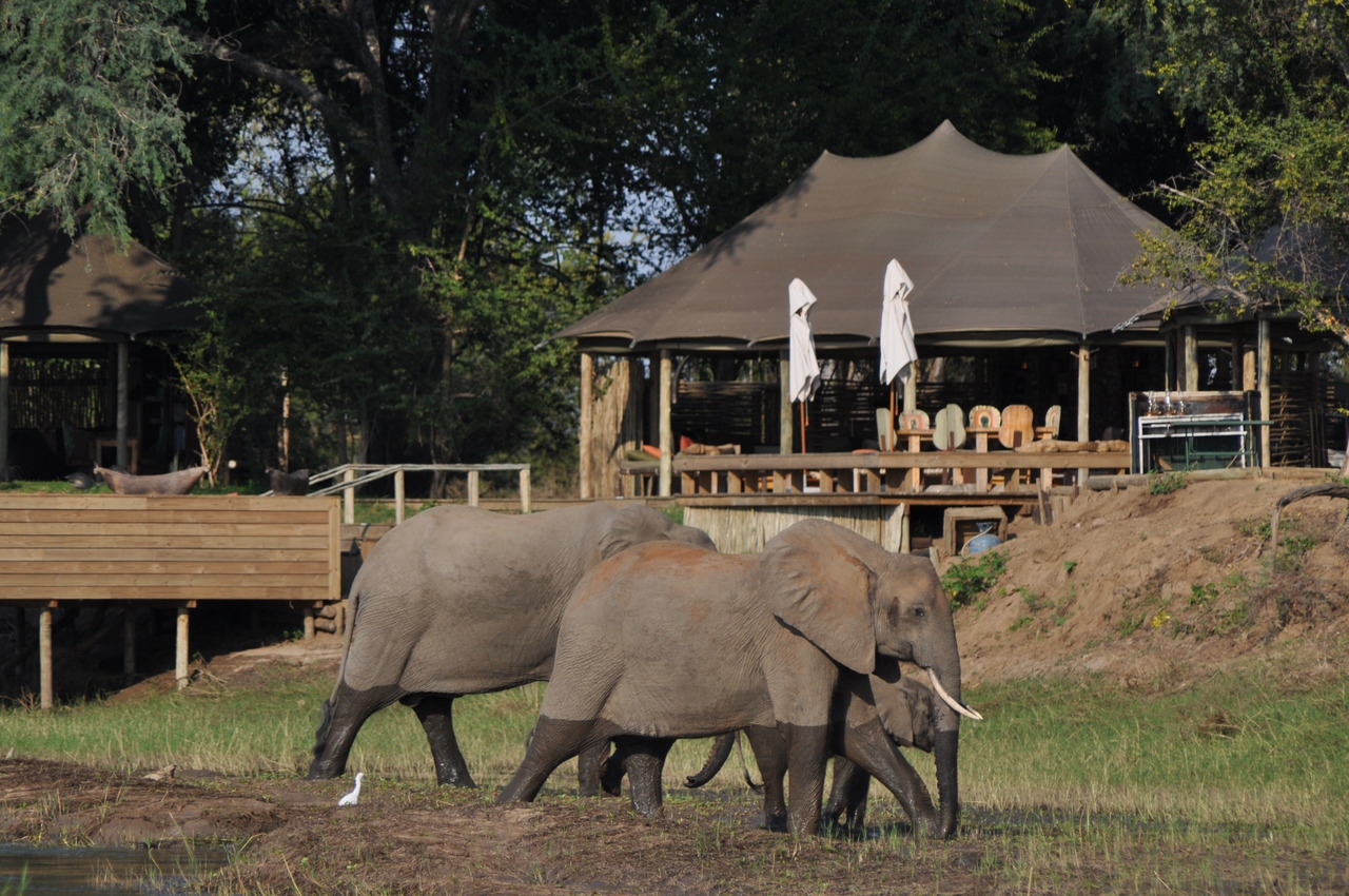 wilderness safaris zimbabwe (private) limited