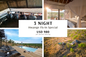 3 Nights Hwange Fly -in- Special