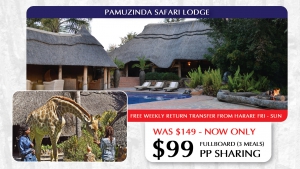 After Lockdown Zambezi Cruise Safaris Special