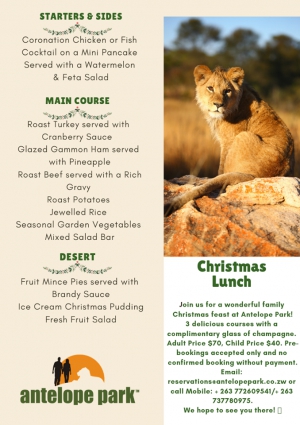 Antelope Park Christmas 2018