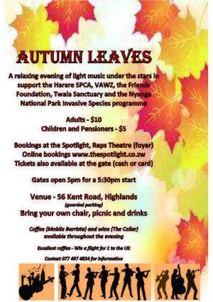 Autumn Leaves 20th May 2017