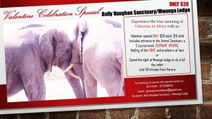 Bally Vaughn Sanctuary/ Mwanga Lodge Valentine Special