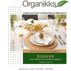 Christmas Brunch at Organikks