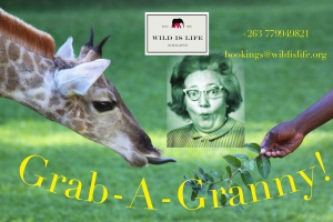 Grab - A- Granny Special