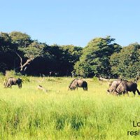 Health and Wellness Safari Retreat – IGANYANA 2022