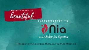 Intro to Nia workshop