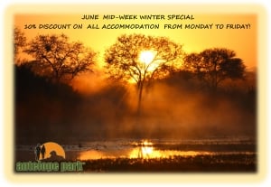 June Mid Week Winter Special