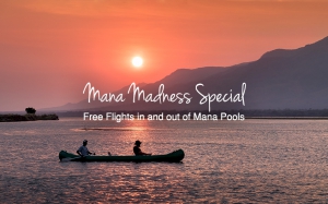 Mana Pools Madness Special At African Bush Camps