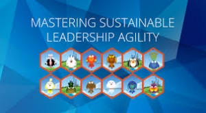 Mastering Sustainable Leadership Agility Seminar