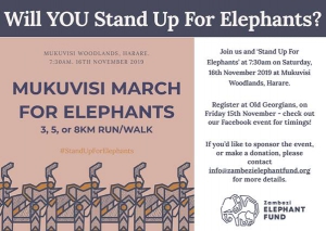 Mukuvisi March For Elephants 2019