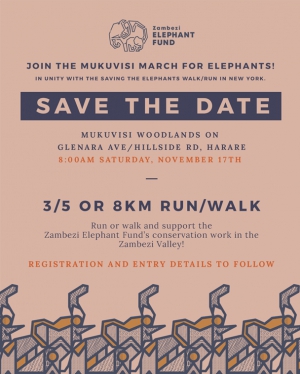 Mukuvisi March for Elephants!