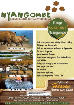 Nyangombe  Safari Special offer