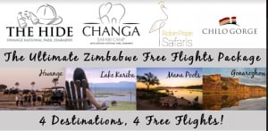 #OneZimbabwe Exciting New Packages 