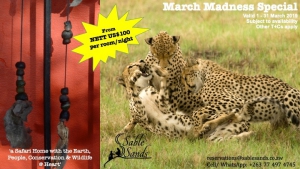 Sable Sands March Madness Last Minute Special